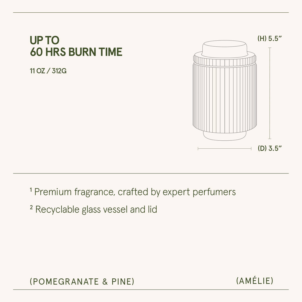 Pomegranate & Pine 11oz