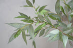 41" Frosty Eucalyptus-Lush or Frosty