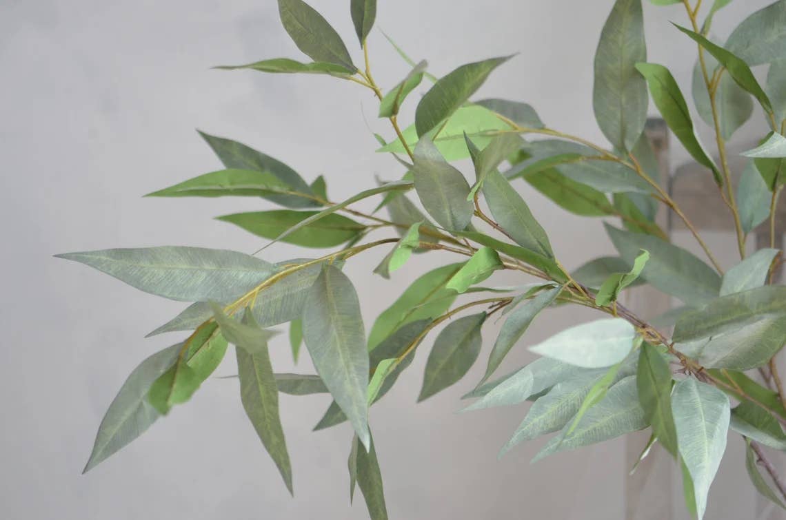 41" Frosty Eucalyptus-Lush or Frosty