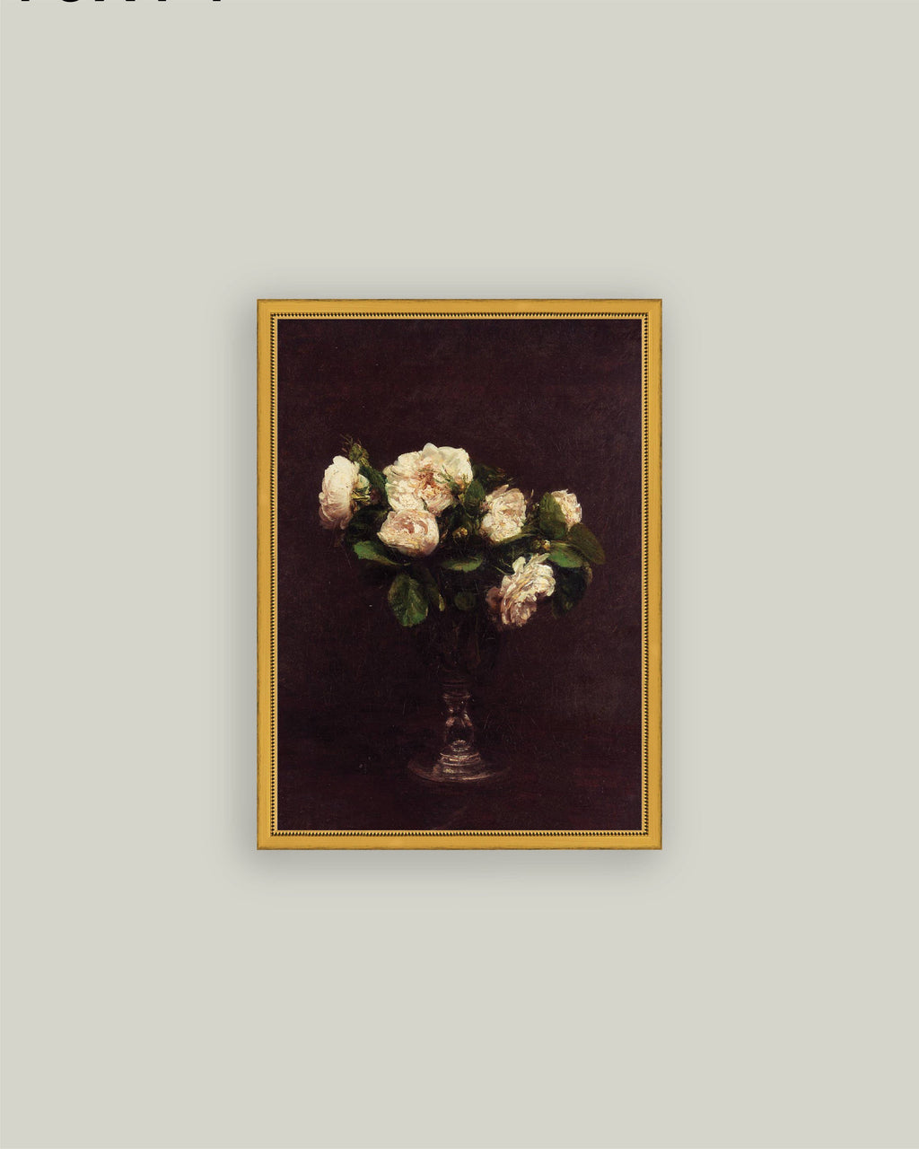 Roses Blanches