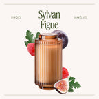 Sylvan Figue - 19oz