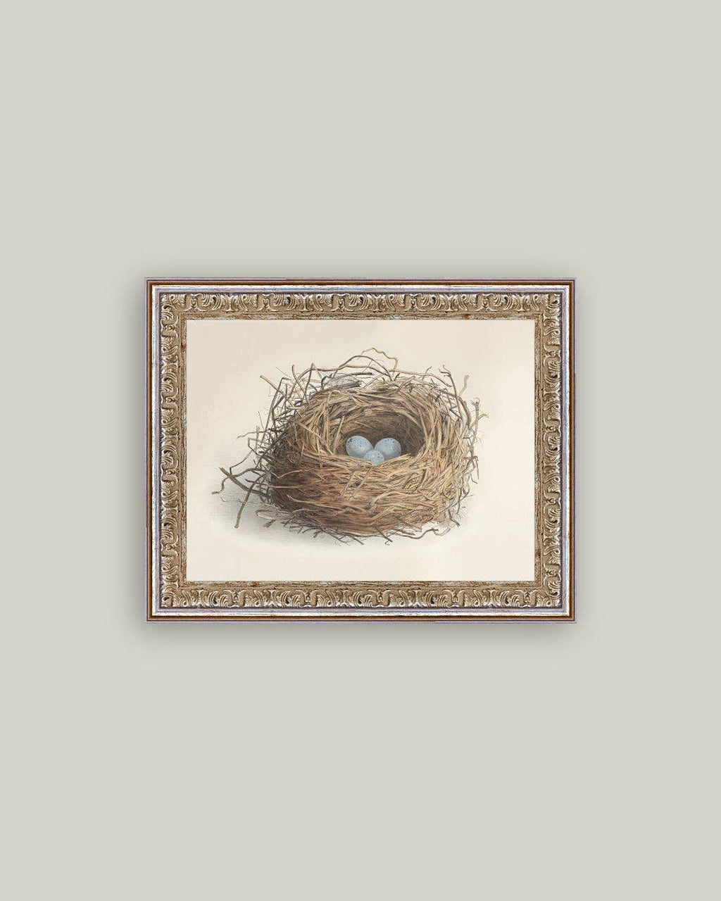 Blue Eggs in a Nest Framed Antique Art