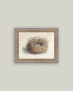 Blue Eggs in a Nest Framed Antique Art