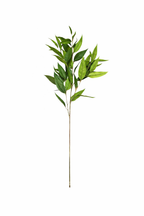 41" Frosty Eucalyptus-Lush or Frosty
