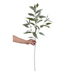 41" Frosty Eucalyptus-Lush or Frosty