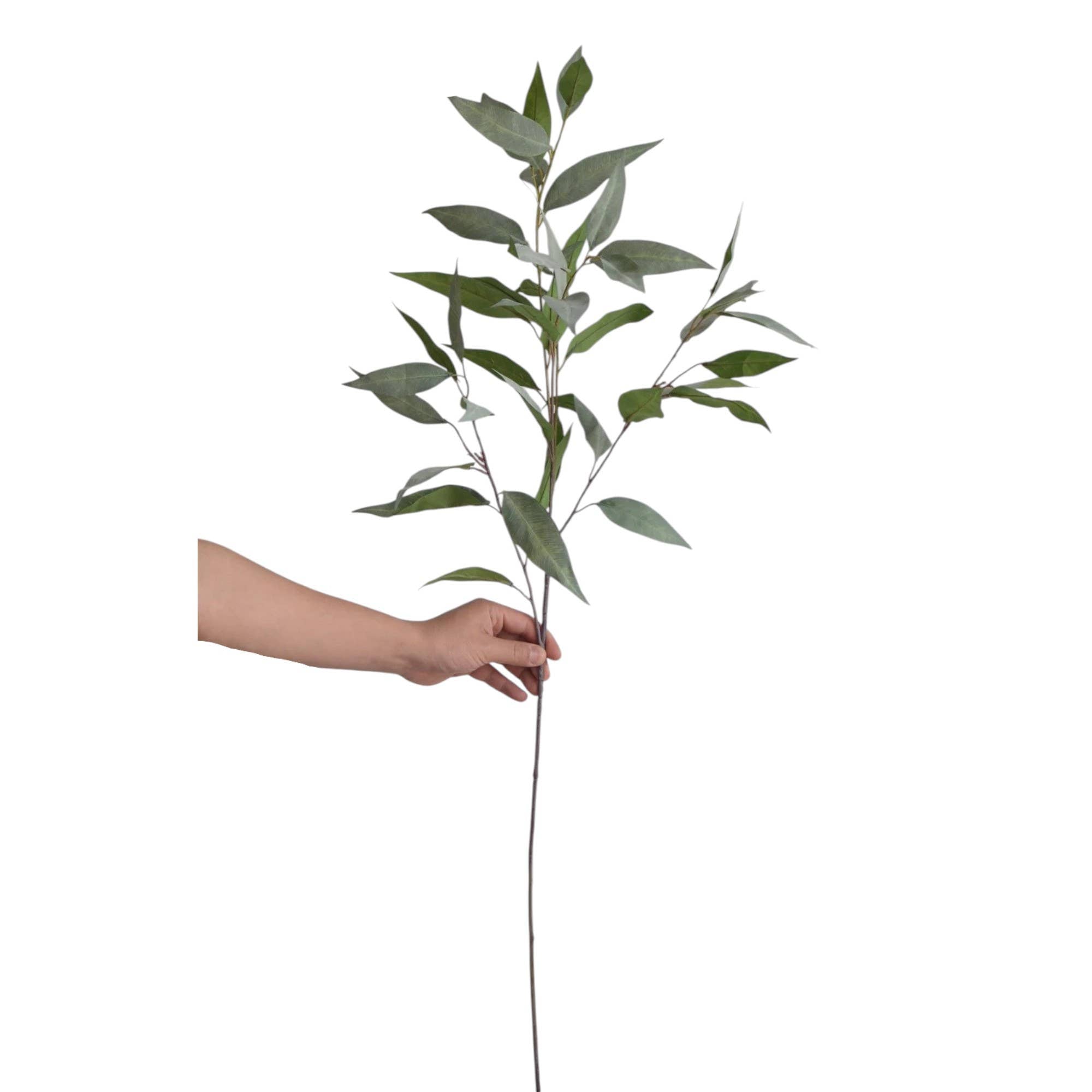 41" Frosty Eucalyptus-Lush or Frosty