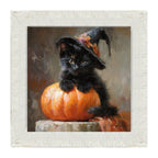 Black Kitten with Pumpkin