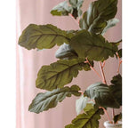Wild Garden Greenery Stem 36"
