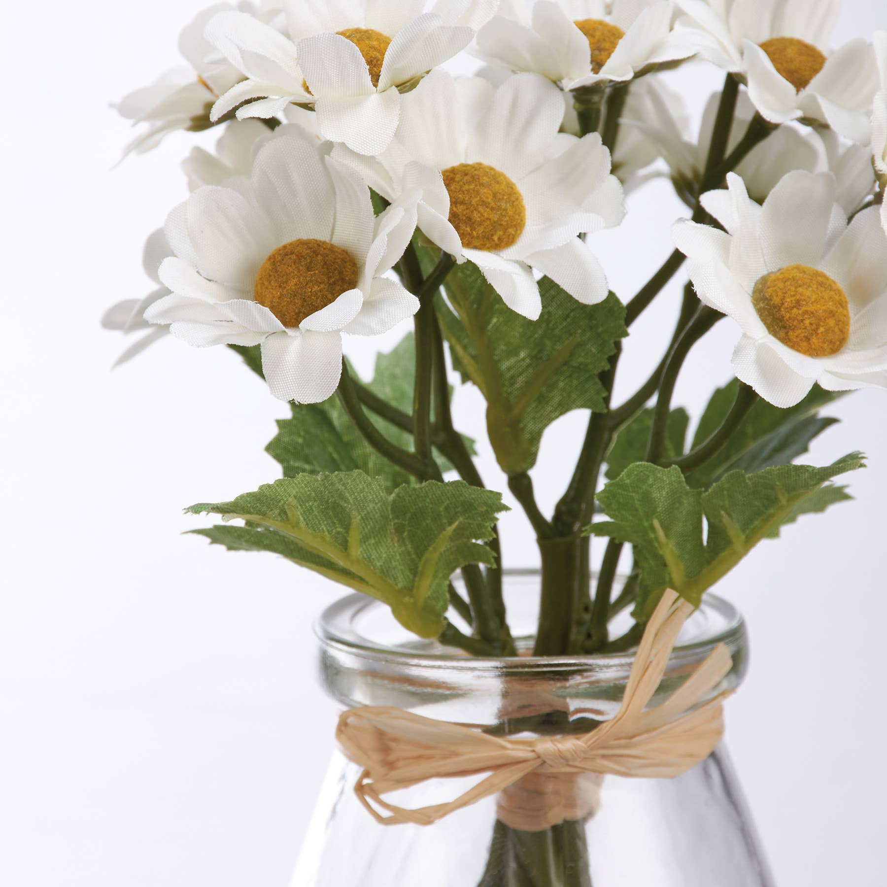 White Daisies Vase