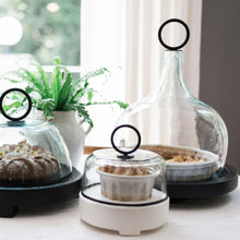 Barcelona Glass Cloche