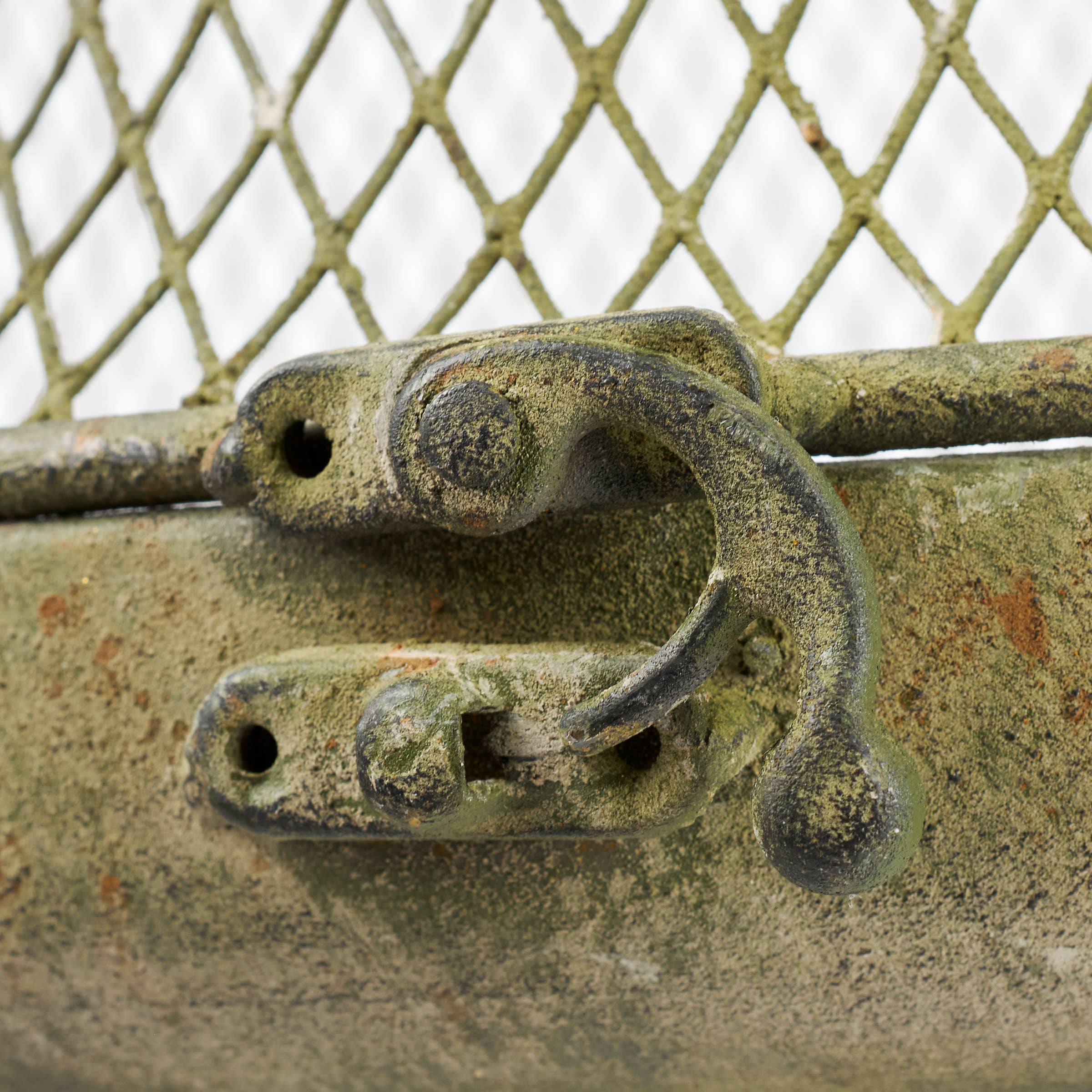 Garden Mesh Cloche Sm