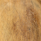 Bleached Found Wood Bowl With Handle