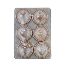 Botanical Magnets – Set of 6