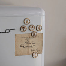 Botanical Magnets – Set of 6