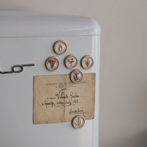 Botanical Magnets – Set of 6