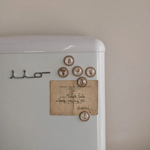 Botanical Magnets – Set of 6
