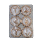 Botanical Magnets – Set of 6