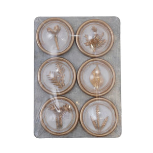 Botanical Magnets – Set of 6