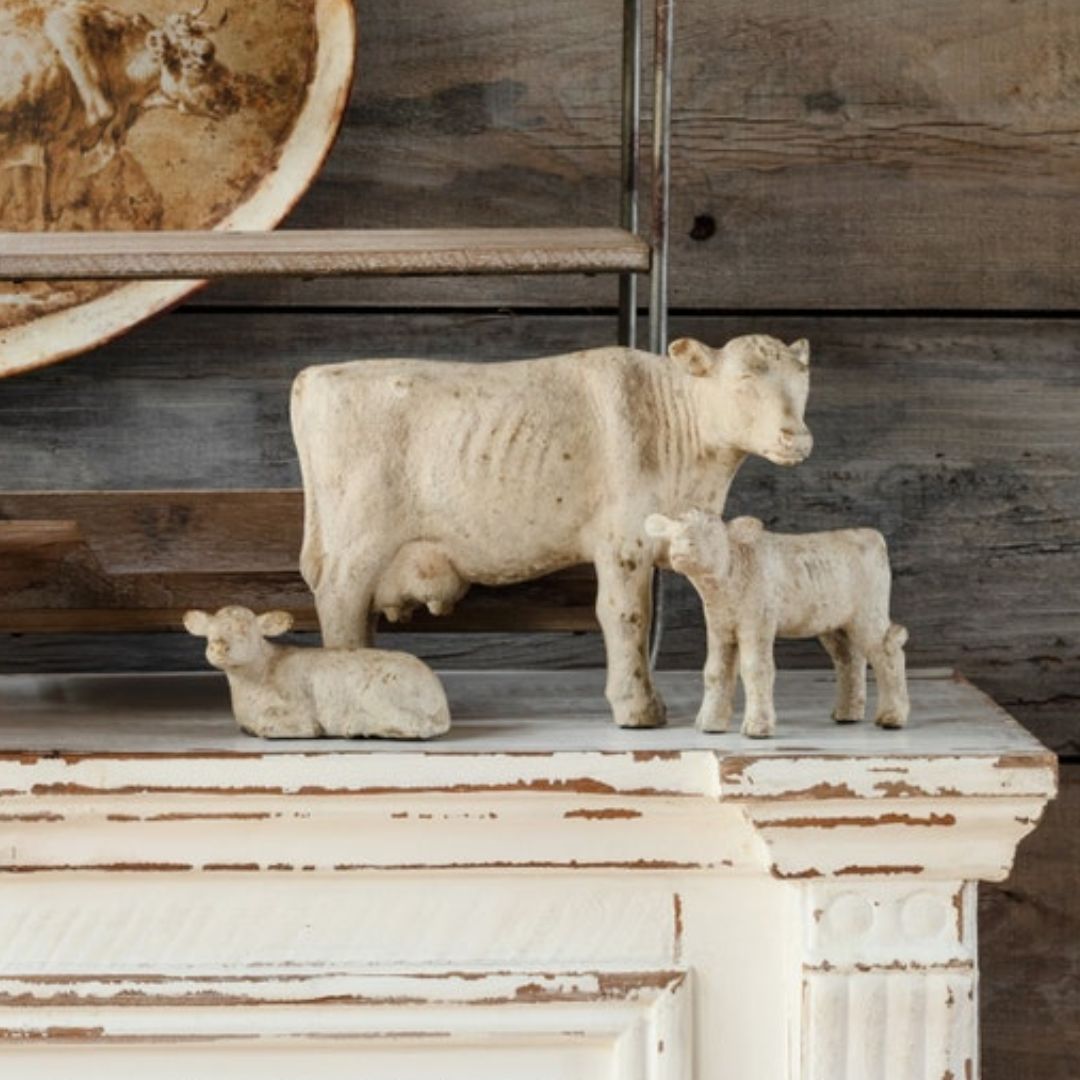 Bovine Baby - Standing Up