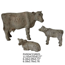 Bovine Baby - Standing Up