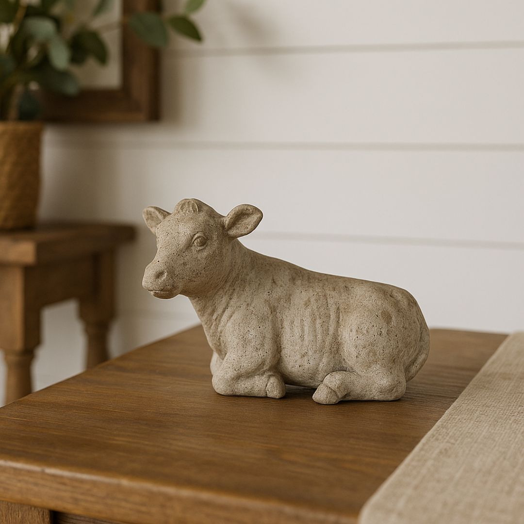 Bovine Baby - Laying Down