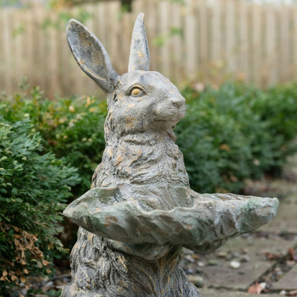 Rabbit Bird Bath