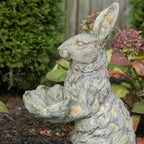 Rabbit Bird Bath