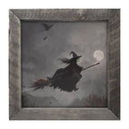 Moonlit Witch