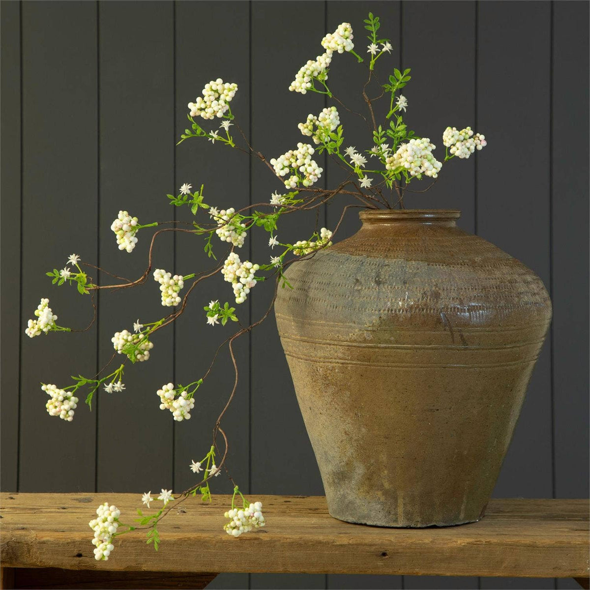 Arabian Jasmine Branch – Cozy Cottage