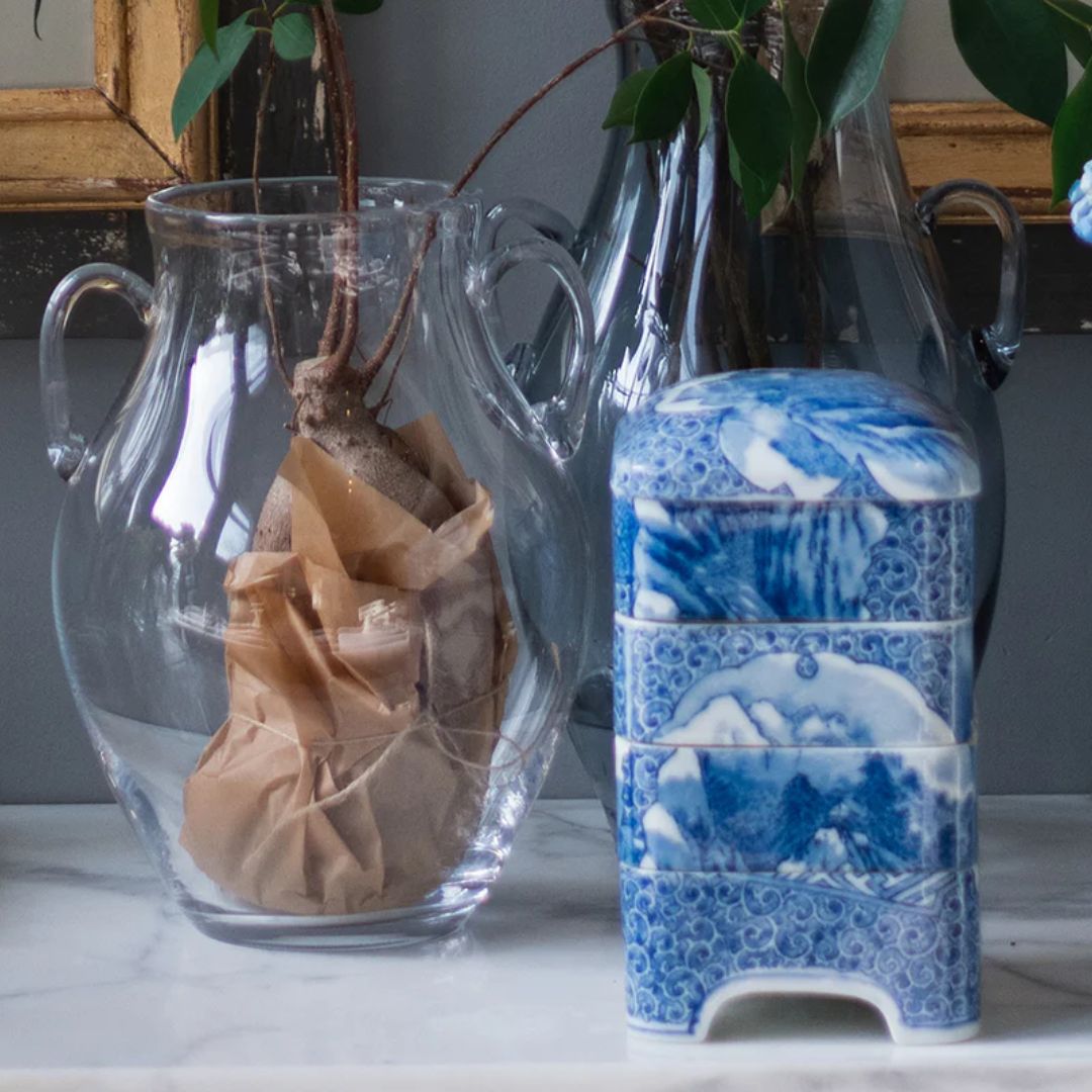 Clear Glass Amphora Flower Vase - Medium