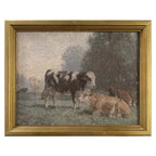 Cow's Grazing Framed Print