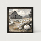 White Pumpkins in Field