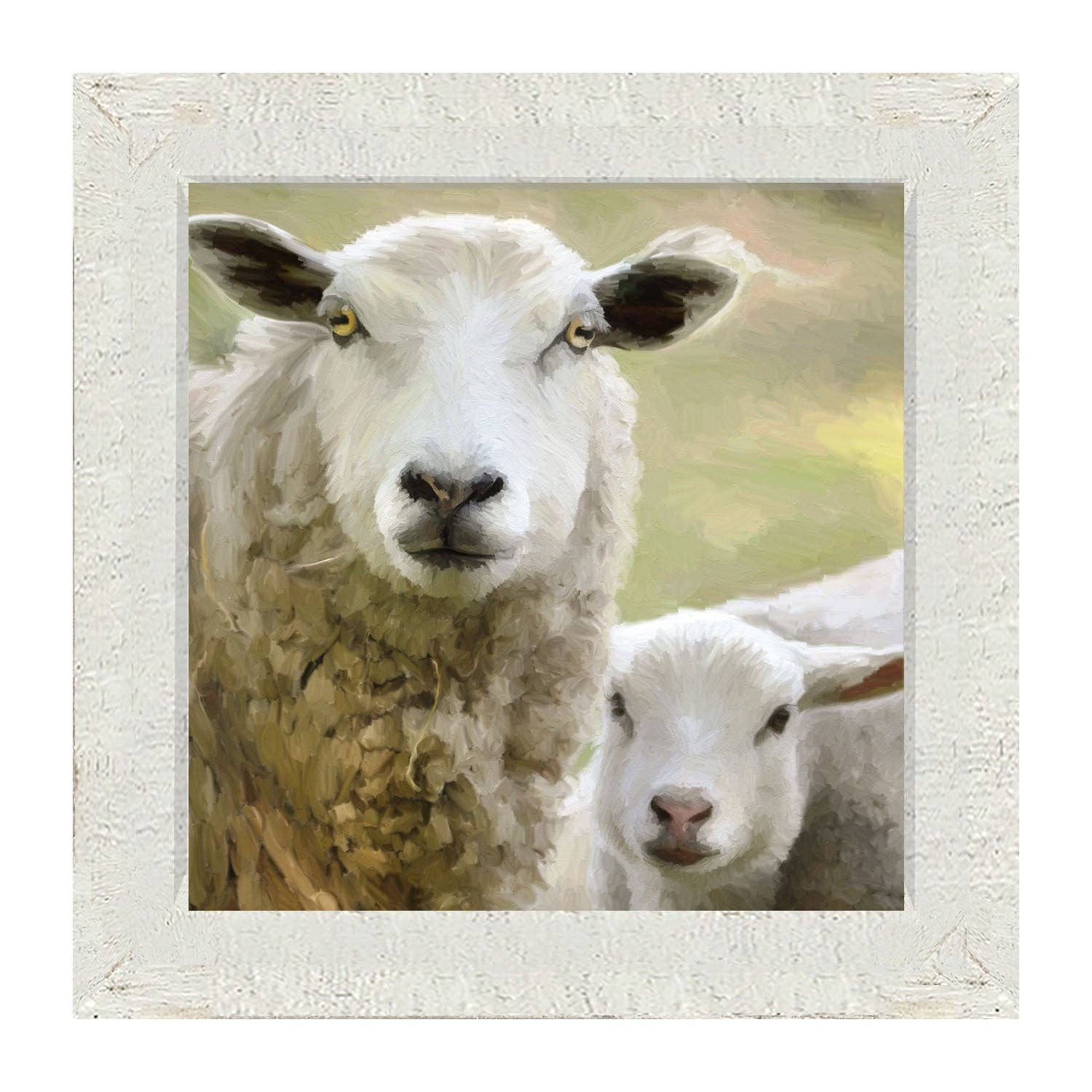 Sheep and Lamb