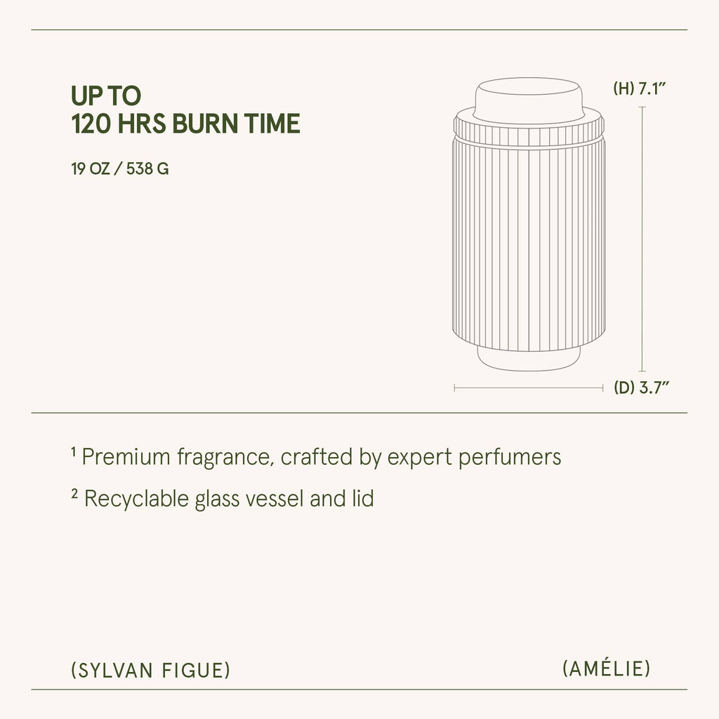 Sylvan Figue - 19oz
