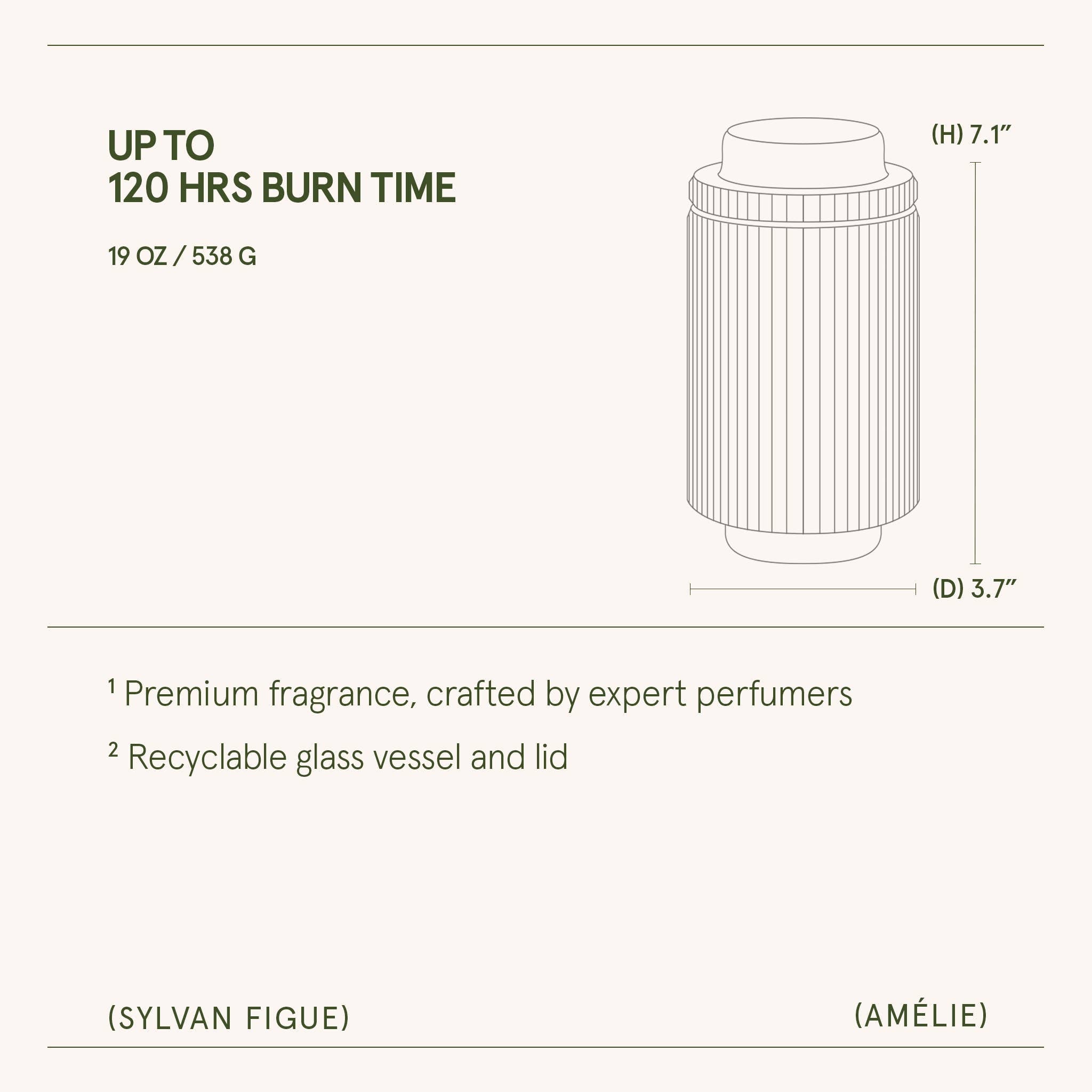 Sylvan Figue - 19oz
