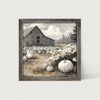 White Pumpkins in Field
