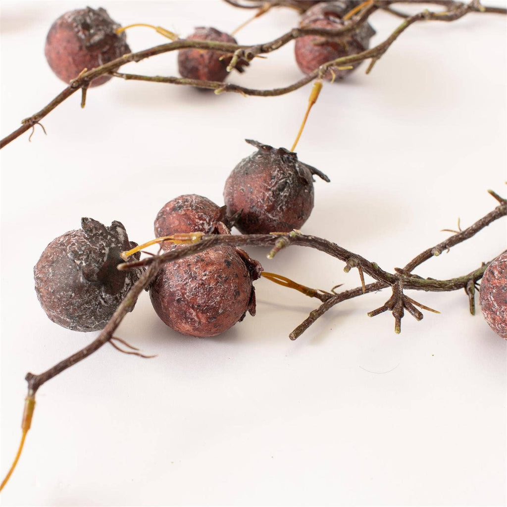 Chinaberry Burgundy