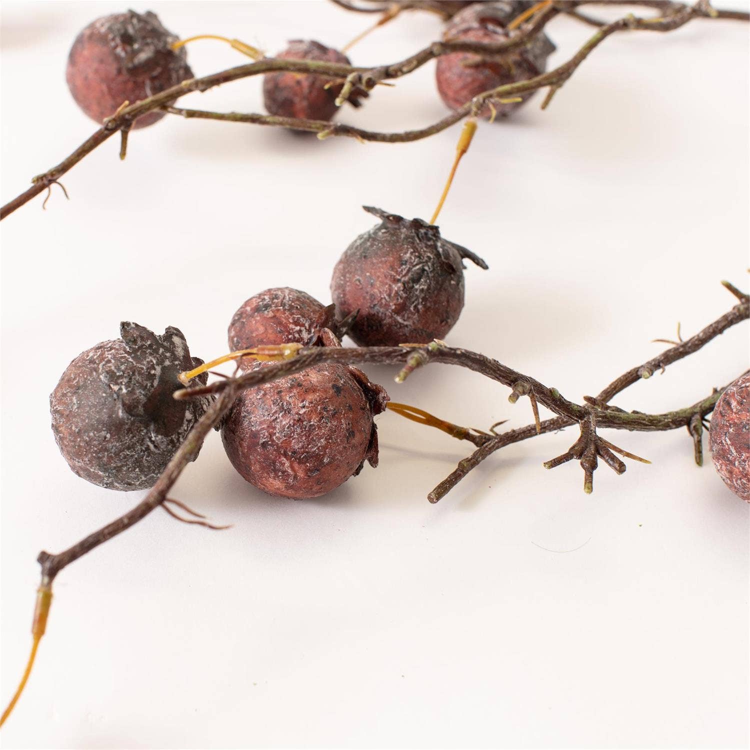 Chinaberry Burgundy