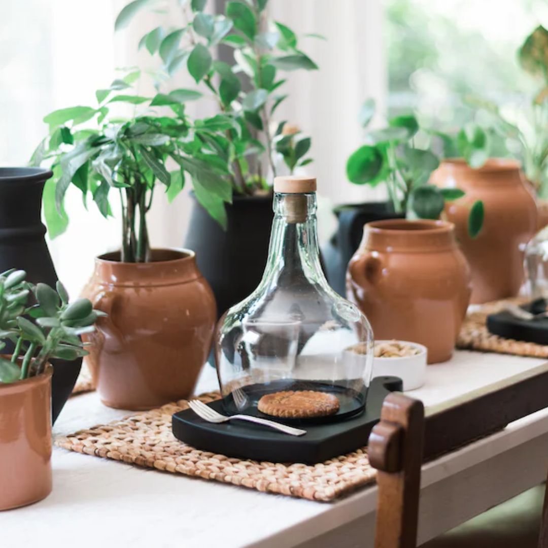 Demijohn Recycled Glass Cloche - Small - Thumbnail 2