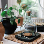 Demijohn Recycled Glass Cloche - Small