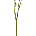 55"Curvy Sculptural Branch Stem