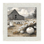 White Pumpkins in Field
