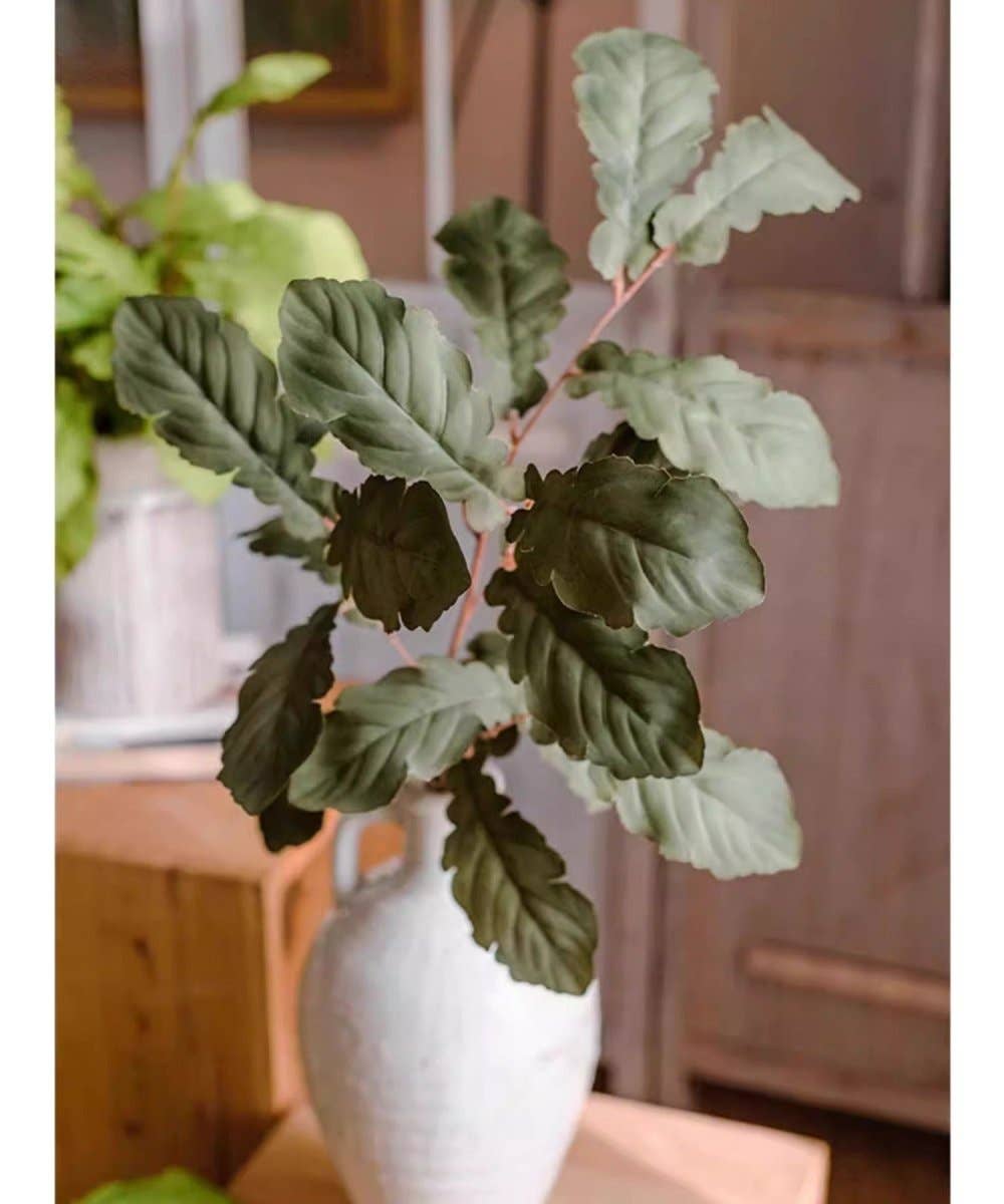 Wild Garden Greenery Stem 36"