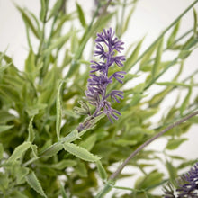 Double Lavender Topiary Plant