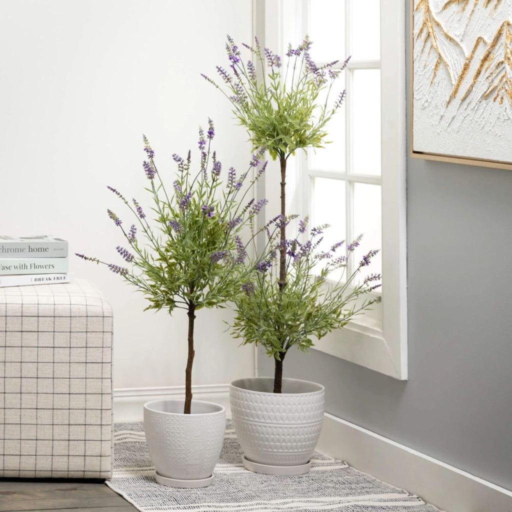 lavender topiary tree for sale Double Lavender Topiary Plant – Cozy Cottage