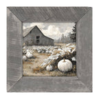 White Pumpkins in Field
