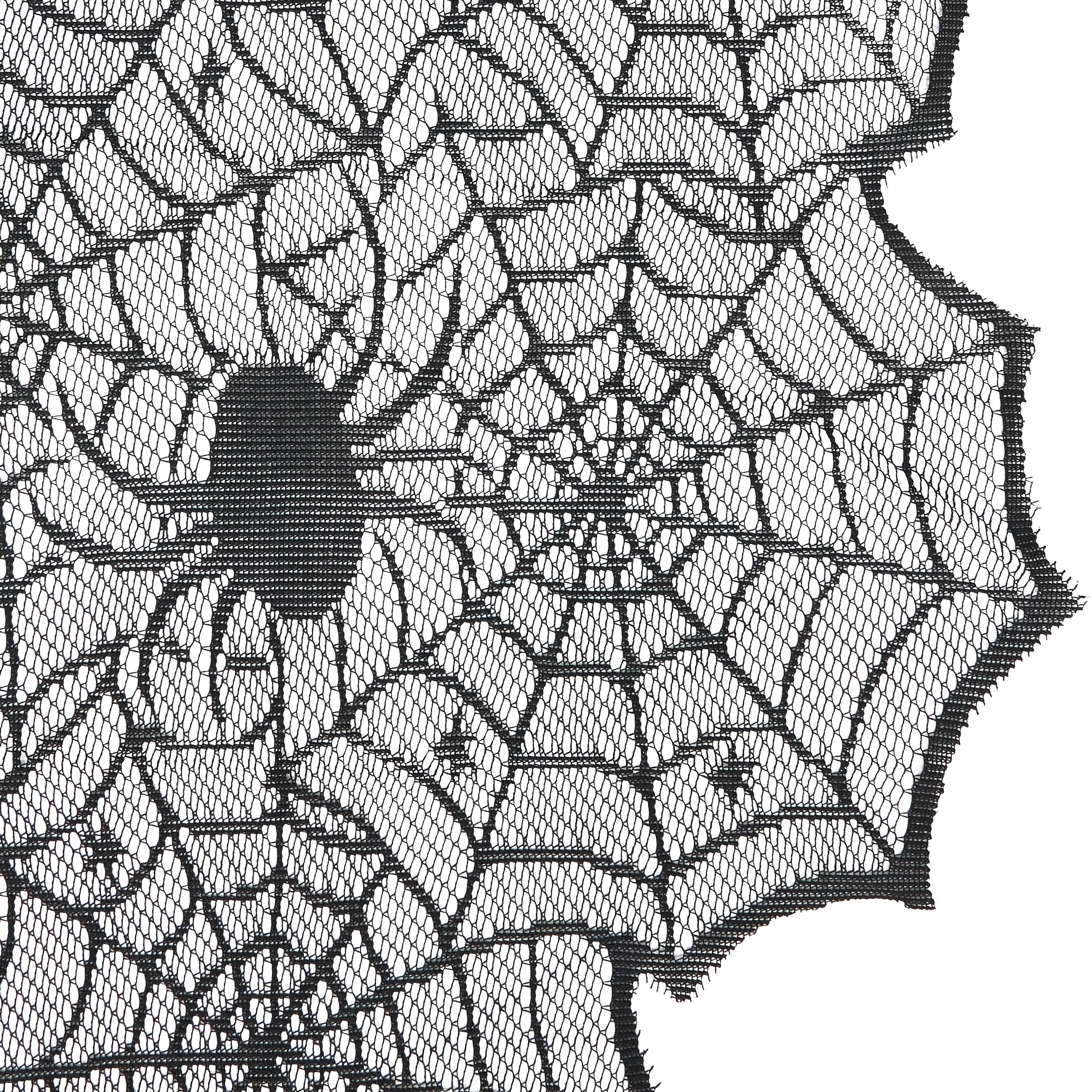 Spiderweb Net Runner