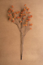Rust Rice Flower Stem