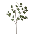 Real Touch Eucalyptus 35.5"