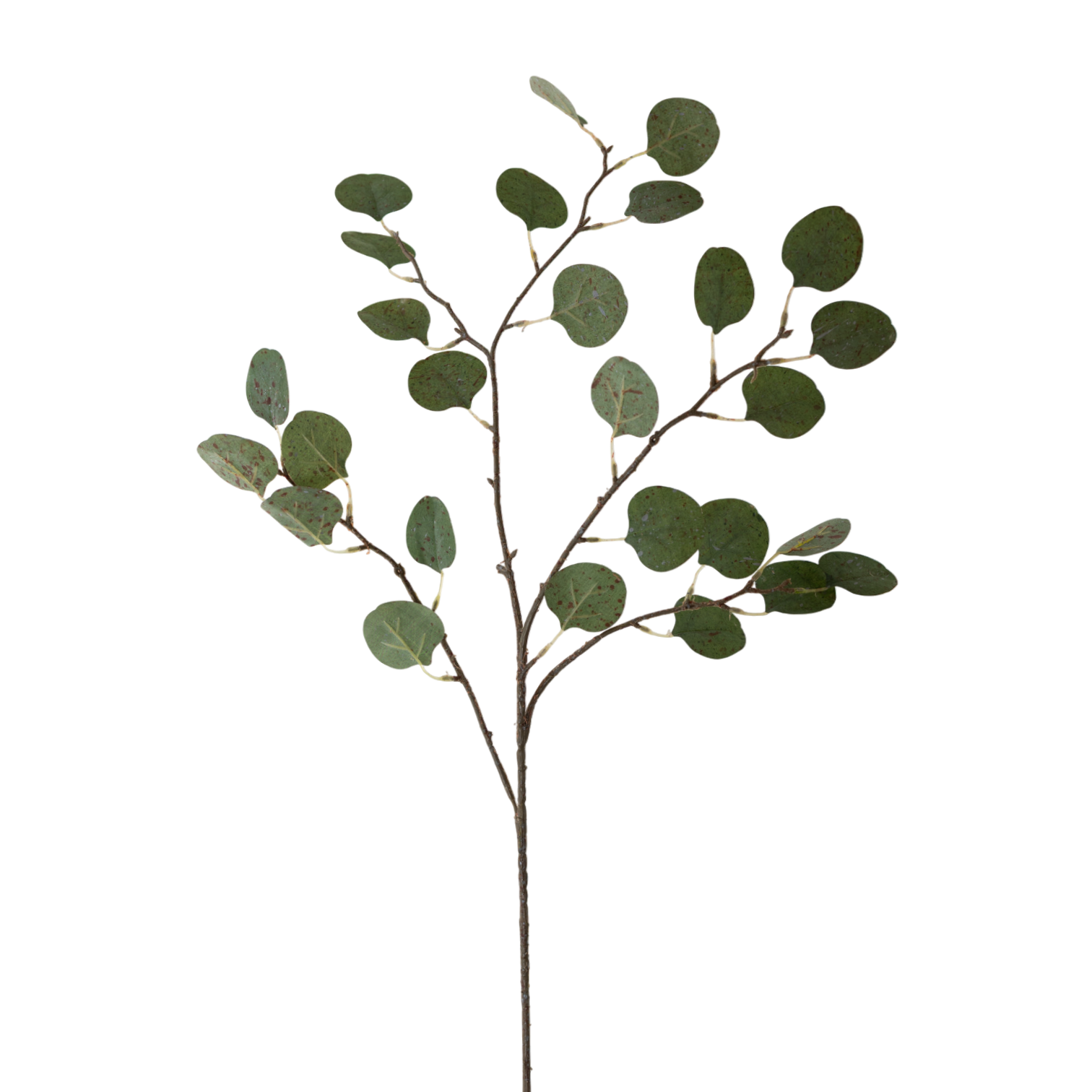 Real Touch Eucalyptus 35.5"